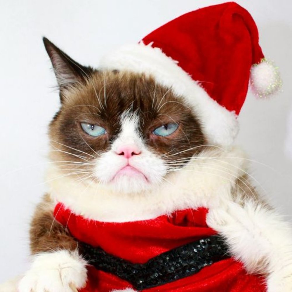 โญ(ใฃโโกโ)ใฃ ๐ OFFERS ๐ enยขouraged ๐ WฬพEฬพLฬพCฬพOฬพMฬพEฬพDฬพ ๐ don't be grumpy ๐